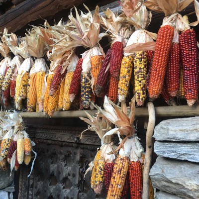 5 alimentari-vallemaggia-casa ambica